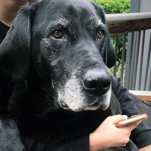 Meet your Posher, Sima - Picture 2 of 4